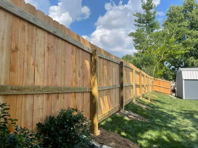Wooden fence in backyard, next to a tree