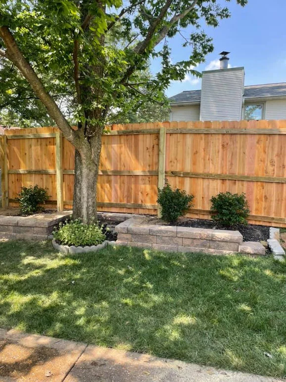 Wooden fence behind the tree