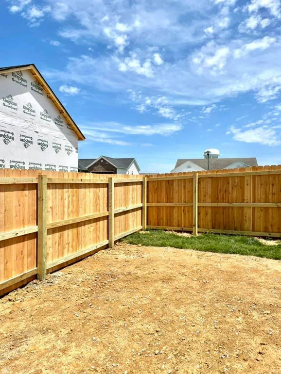 Backyard wooden fence