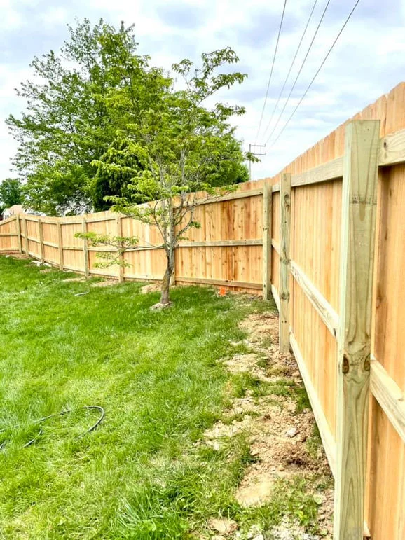 Wooden fence on backyard